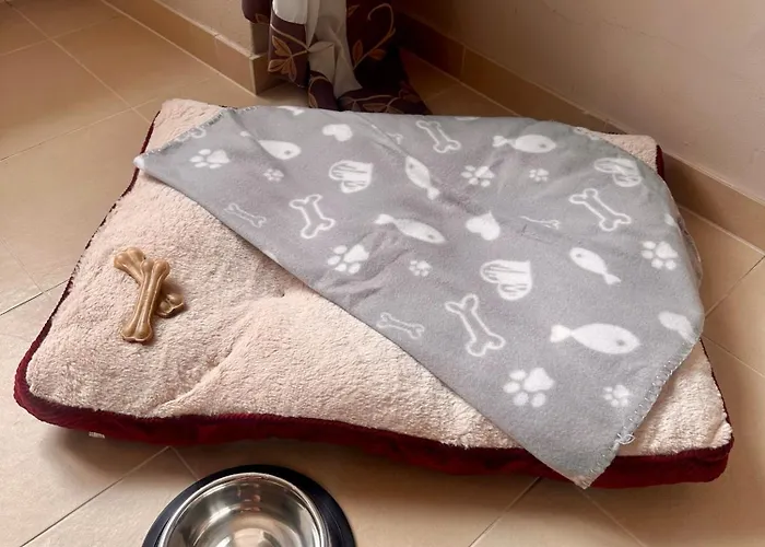 ホテル シャトー リブリツェ Byšice