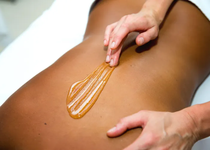 Hotel Chateau Liblice 4*