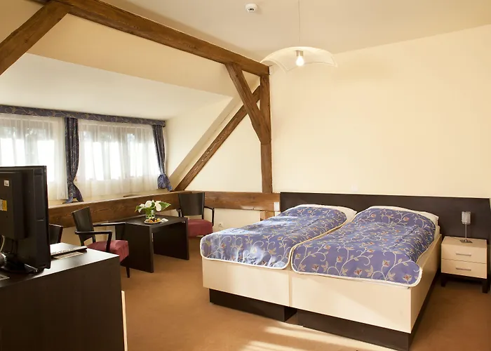 Chateau Liblice 4* Bysice